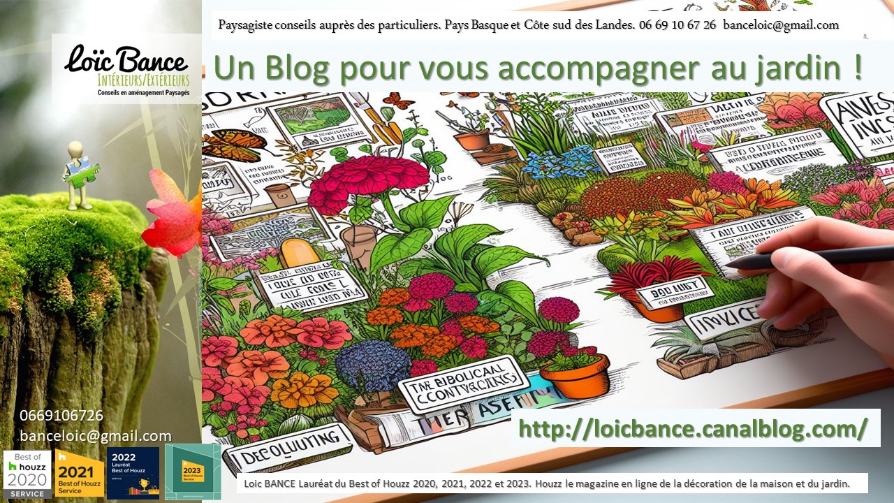 Le Blog jardin de Paysagiste Bayonne