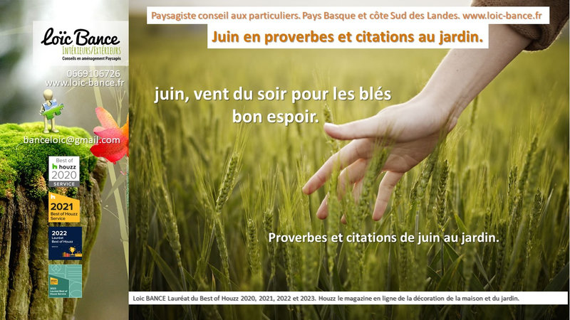 Proverbes; Citations; Jardins; Paysagiste; Landes; Pays Basque; Paysagiste Pays Basque; Paysagiste Landes; Loc BANCE; Amnagements paysagers; Concepteur de jardins; Paysagiste Bayonne; 