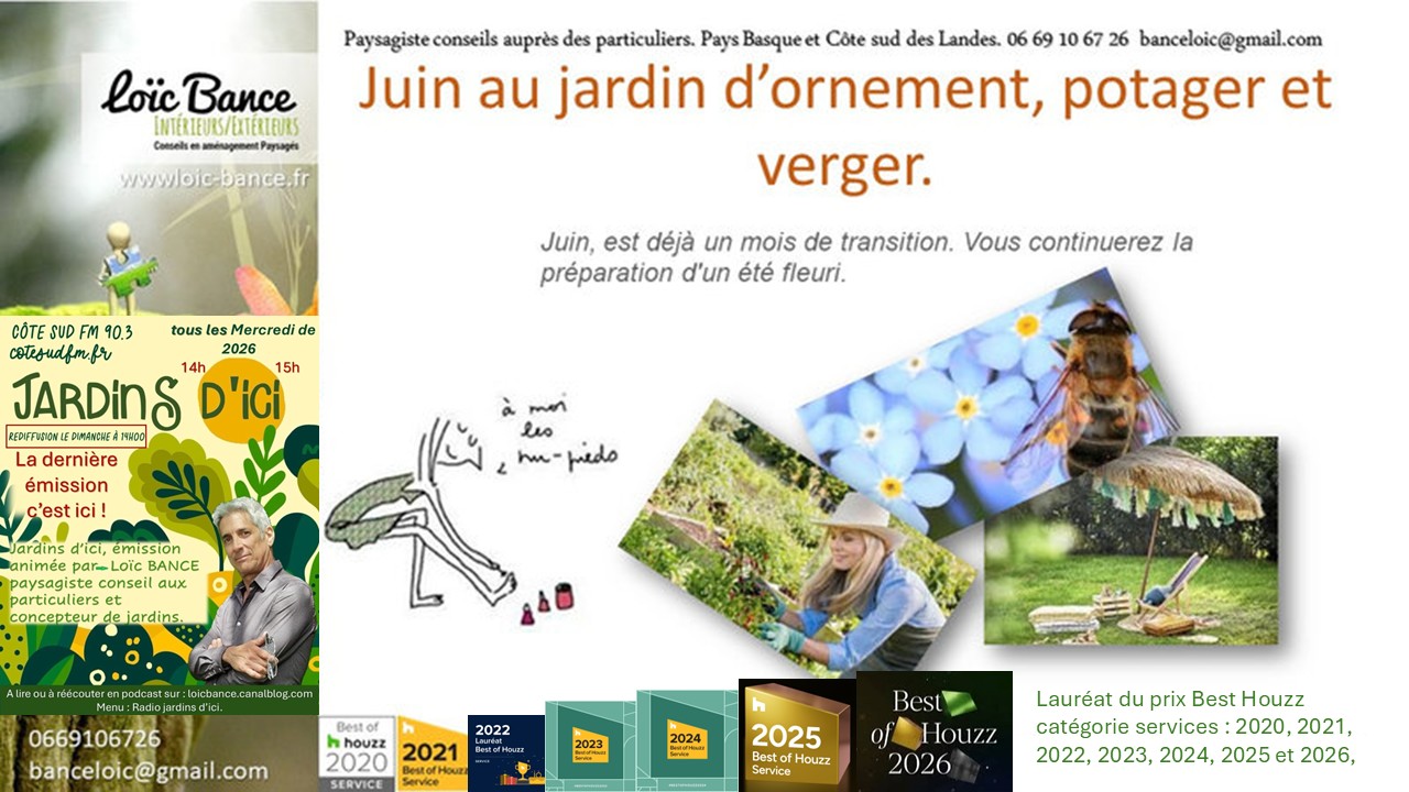 Les travaux de juin 2026 au jardin d'ornement, potager ou fruitier. Bayonne Paysagiste 