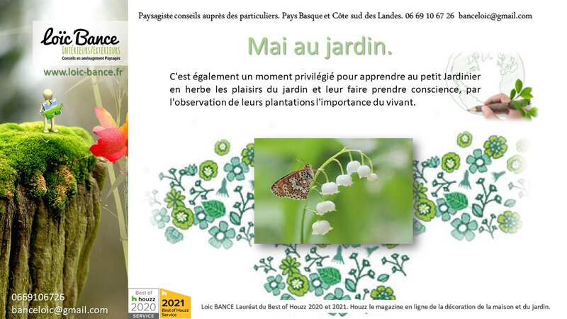 Les travaux du jardin en mai par Paysagiste Bayonne